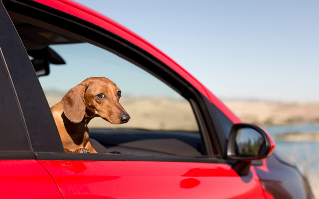 How Vehicle Type Impacts Your Auto Insurance Premium